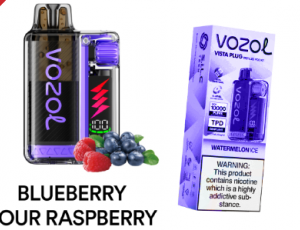 Vozol Blueberry Sour Raspberry Vozol Blueberry Sour Raspberry