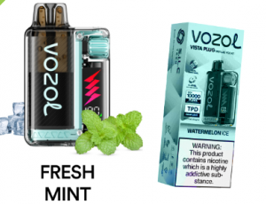 Vozol 20000 Fresh Mint Vozol 20000 Fresh Mint