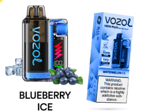 Vazol 20000 Blueberry Ice Vazol 20000 Blueberry Ice