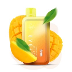 Elfbar 13000 Double Mango