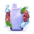Elf Bar Raya D1 13000 Puff Grape Ice(Üzüm)