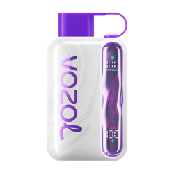 Vozol Star 40000 Grape Ice Vozol Star 40000 Grape Ice